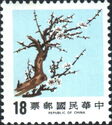 Plum Blossoms