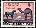 Horse, Sheep and Camel