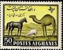 Horse, Sheep and Camel