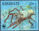 Tufted Kiribati Spiny Lobster (Panulirus penicillatus)