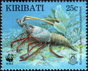 Tufted Kiribati Spiny Lobster (Panulirus penicillatus)