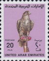 Saker Falcon (Falco cherrug)