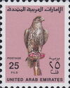 Saker Falcon (Falco cherrug)