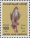 Saker Falcon (Falco cherrug)