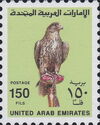 Saker Falcon (Falco cherrug)