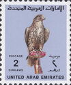 Saker Falcon (Falco cherrug)