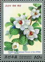 Magnolia, National Flower of the DPRK
