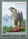 Goshawk, National Bird of the DPRK