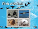 Birds of the World