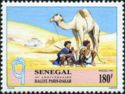Boys with Camel on Race Route