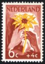 White and brown Hand with Sunflower