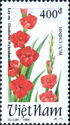 Red gladioli (Gladiolus hybridus Hort)