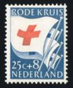 Red Cross Flags