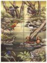 Birds of Grenada