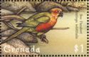 Sun Parakeet (Aratinga solstitialis)