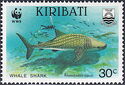Whale Shark (Rhincodon typus)