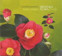 Camellia (Camellia japonica) Rubra Simplex