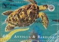 Hawksbill Turtle - Overprinted