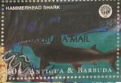 Hammerhead Shark - Overprinted
