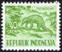 Sunda Pangolin (Manis javanica)