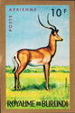 Impala (Aepyceros melampus)