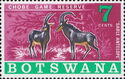 Southern Sable Antelope (Hippotragus niger)