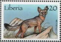 Swift Fox (Vulpes velox)