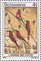 Southern Carmine Bee-eater (Merops nubicoides)