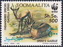 Speke's Gazelle (Gazella spekei)