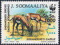 Soemmering's Gazelle (Nanger soemmeringii)