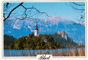 Bled - Pilgrim´s church on the island