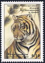 Siberian Tiger (Panthera tigris altaica)