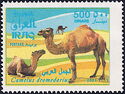 Dromedary (Camelus dromedarius)