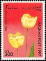 Tulip (Tulipa sp.)