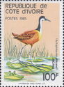 African Jacana (Actophilornis africana)