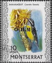Bananaquit (Coereba flaveola) - Overprinted