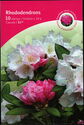 Rhododendrons - Booklet