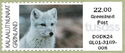 Arctic fox (Vulpes lagopus)