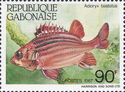 Red Soldierfish (Adioryx hastatus)