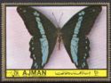 Green-banded Swallowtail (Papilio nireus)