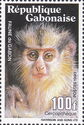 Allen's Swamp Monkey (Allenopithecus nigroviridis)
