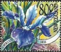 Siberian Iris