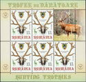 The Carpathian Deer Trophy