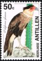 Crested Caracara (Polyborus plancus)