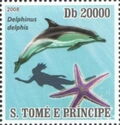 Common Dolphin (Delphinus delphis)