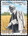 Nazareno Strampelli, Agronomist