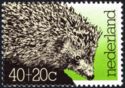West European Hedgehog (Erinaceus europaeus)
