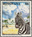 Zebra (Equus sp.), Makgadikgadi Trees