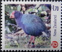 Takahe (Porphyrio hochstetteri)