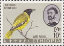 Ethiopian Black-headed Oriole (Oriolus meneliki)